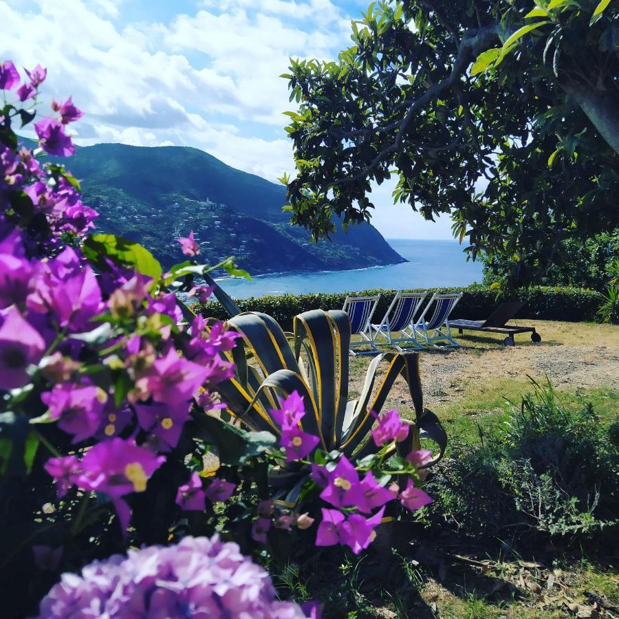 Villa Venino Монелья Экстерьер фото