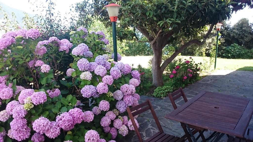 Villa Venino Монелья Экстерьер фото